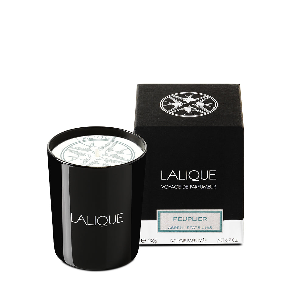 Lalique Peuplier Aspen