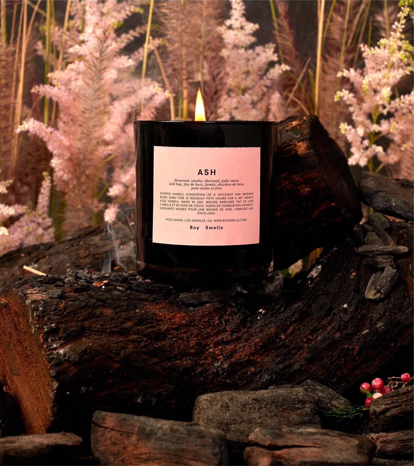 Boy Smells Ash