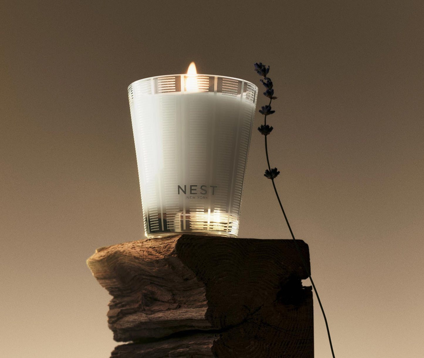 Nest Cedar Leaf & Lavender Classic Candle 8.1 oz