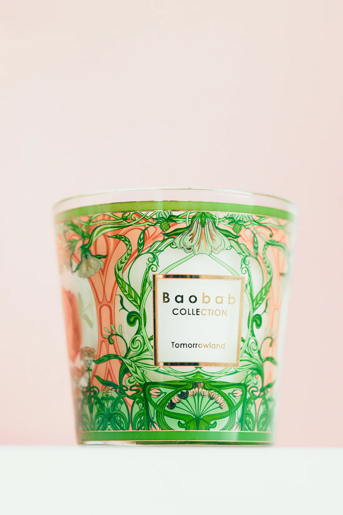 My First Baobab Tomorrowland Max 8
