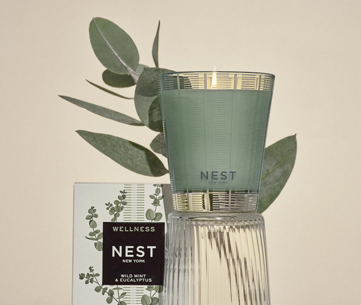 Nest Wild Mint & Eucalyptus Classic Candle 8.1 oz