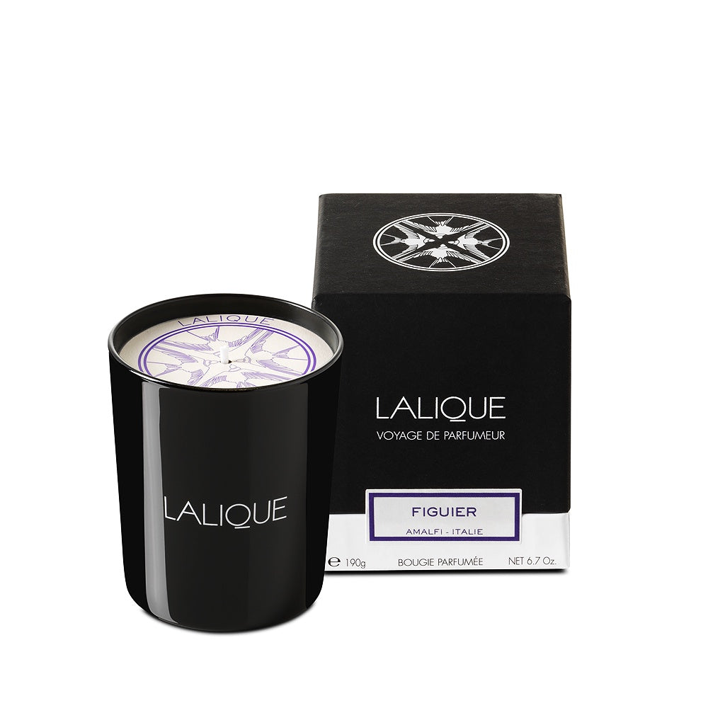 Lalique Figuier Amalfi