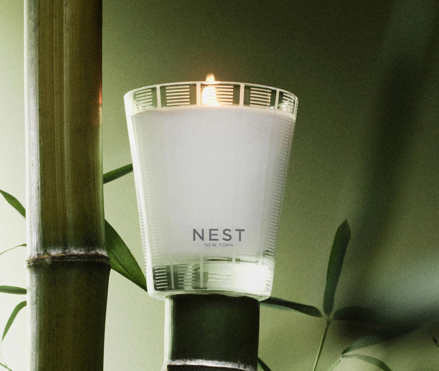 Nest Bamboo Classic Candle 8.1 oz