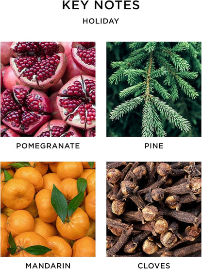 Nest Holiday Classic Candle and Diffuser Set