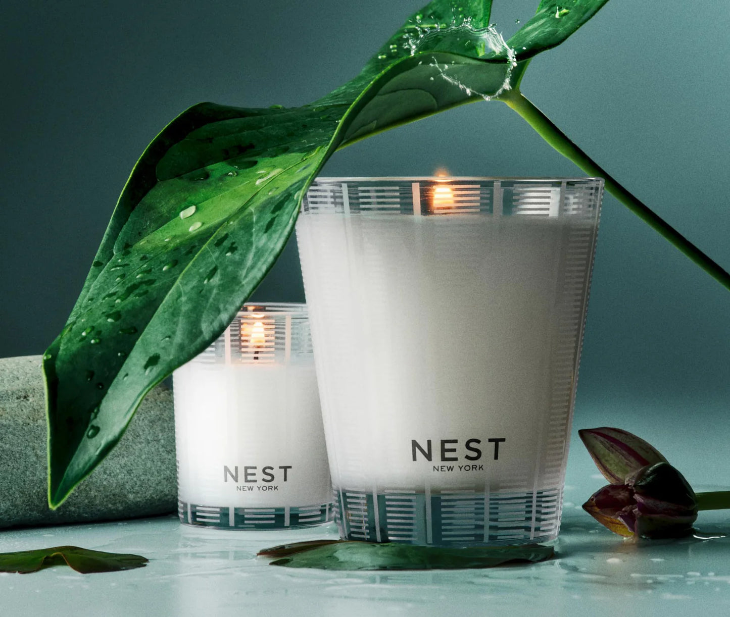 Nest Forest Rain