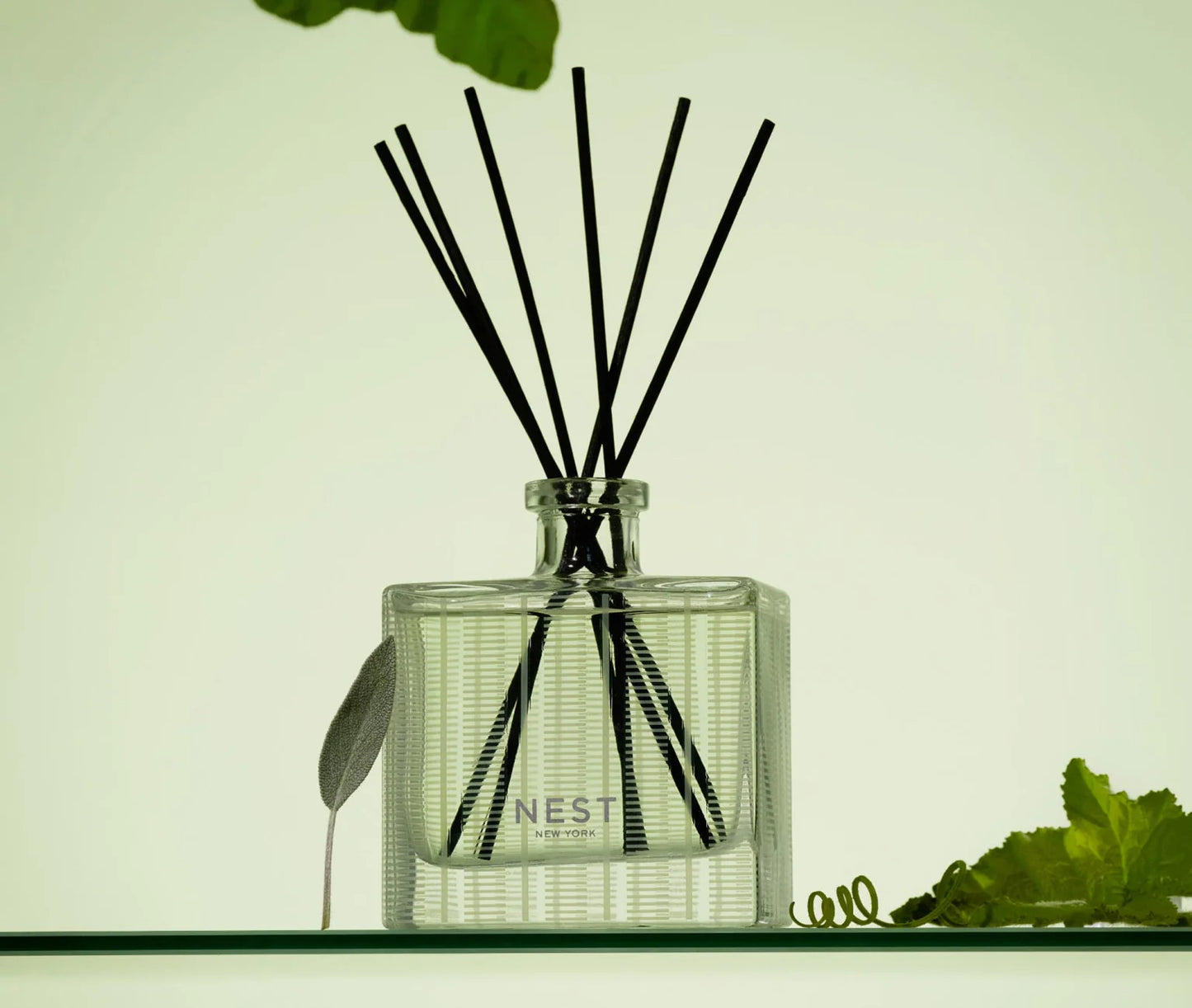 Nest Reed Diffuser Cucumber & White Sage