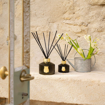 Cire Trudon Diffuser Ernesto